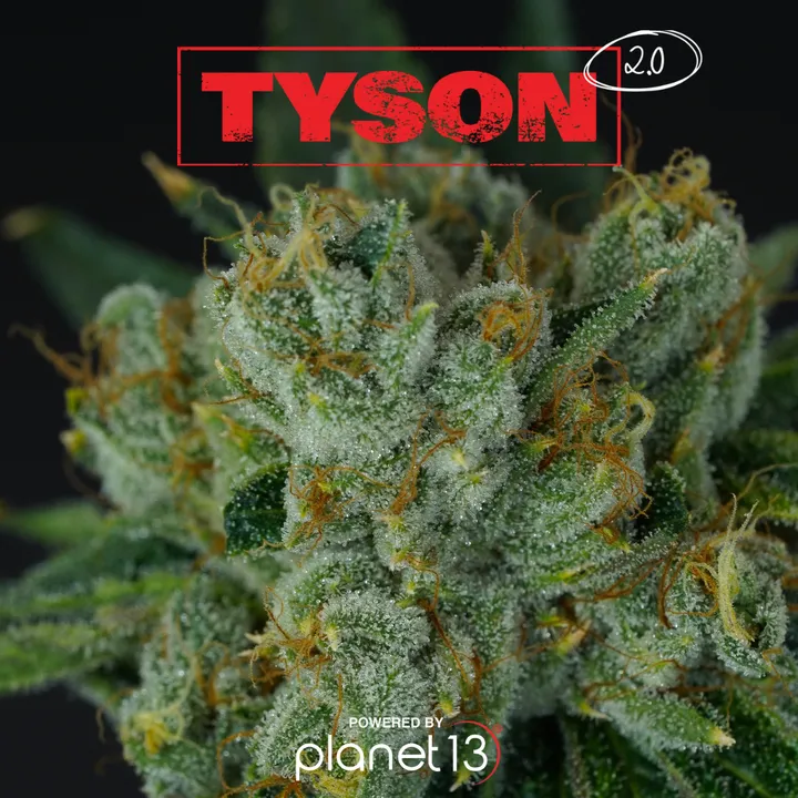 Tyson 2.0 Knockout OG 3.5g Prepack