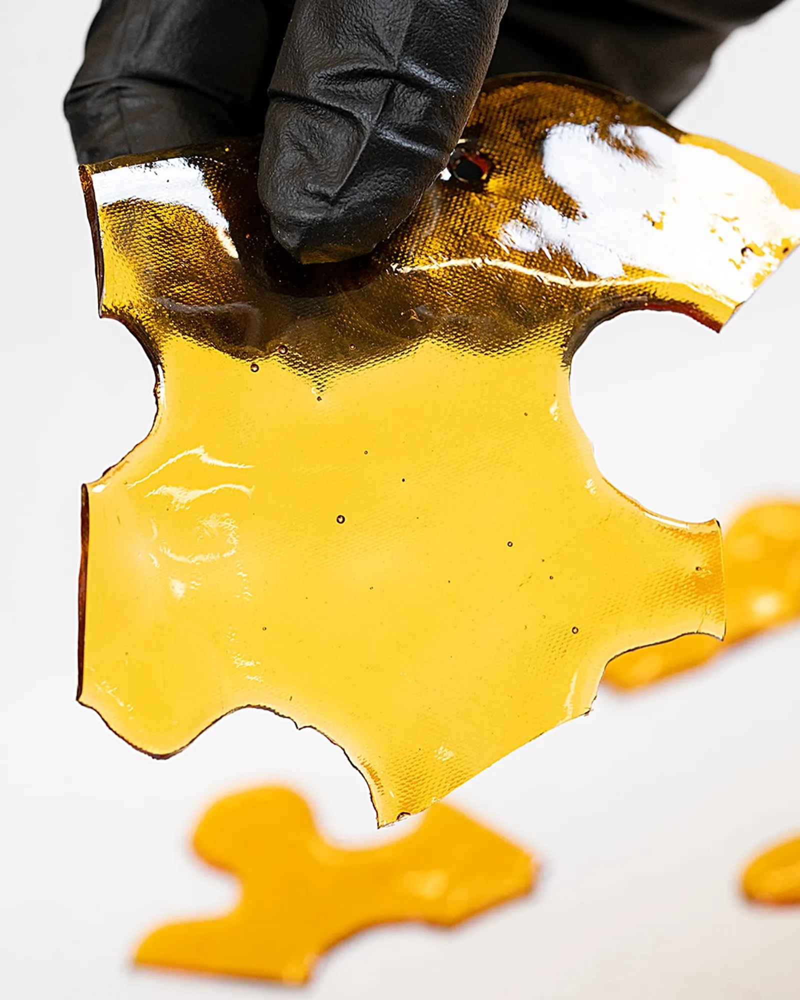 A gloved hand holding up a sheet of amber concentrate