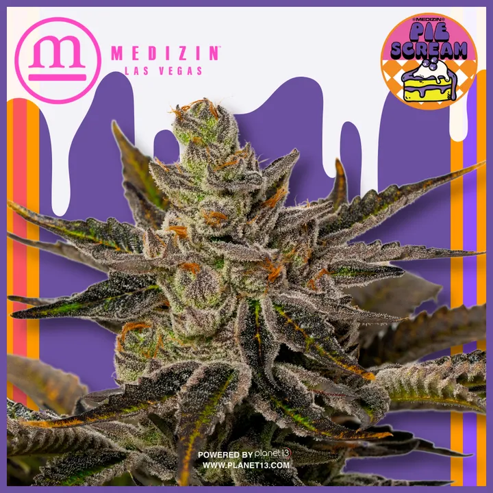 Medizin Piescream 1g Preroll