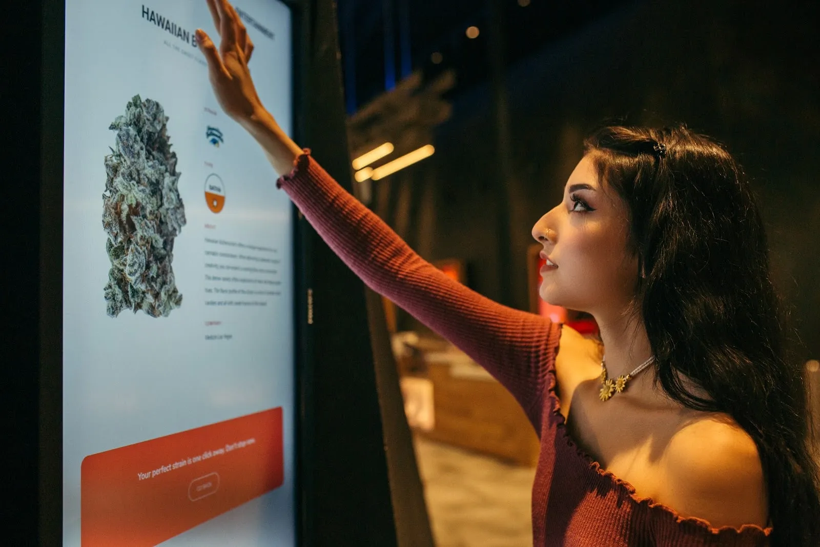A strain's page on the touchscreen guide