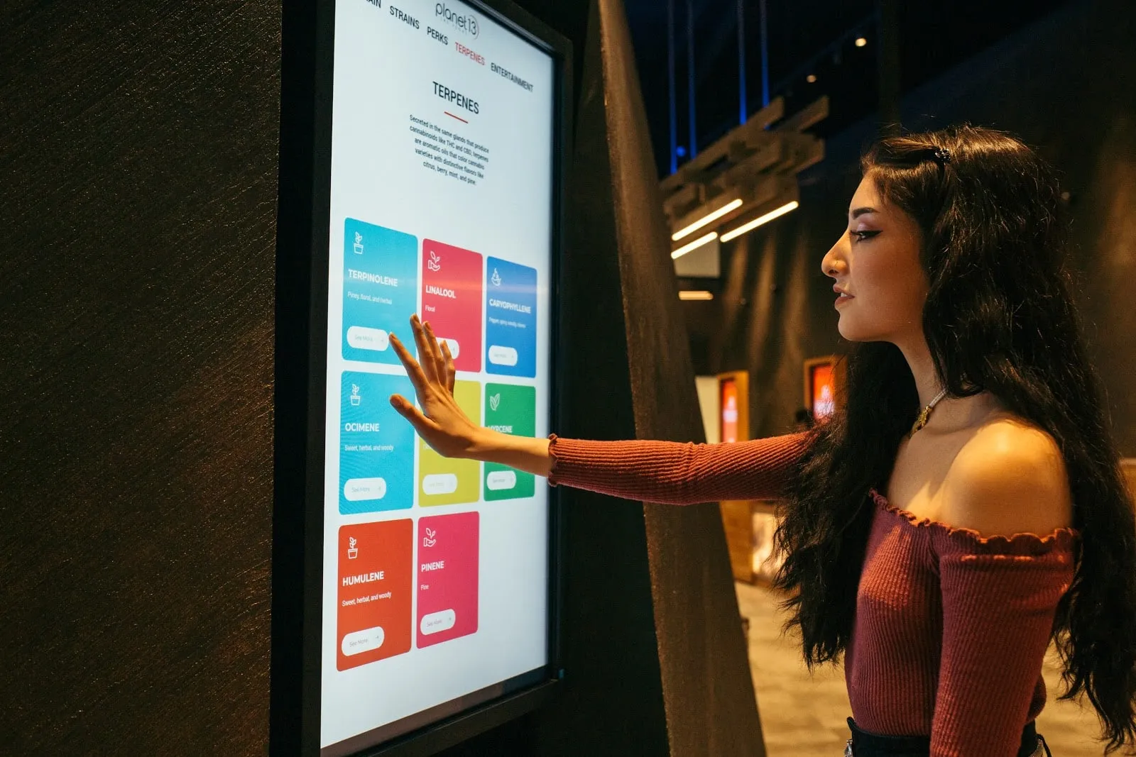 A shopper reading the terpene guide on a touchscreen in the store