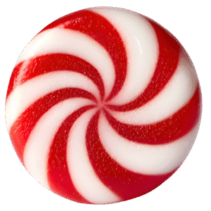 Linalool is a soft floral terpene found in lavender and basil, offering a calming, clean scent with gentle herbal undertones.