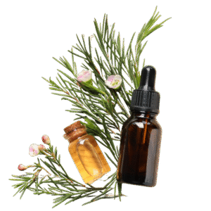 Terpineol is a fresh, floral terpene found in lilac, pine, and citrus blossoms, known for its bright, clean, and lightly sweet scent.